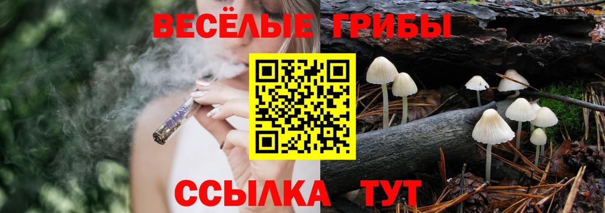 Псилоцибиновые грибы Cubensis Энгельс